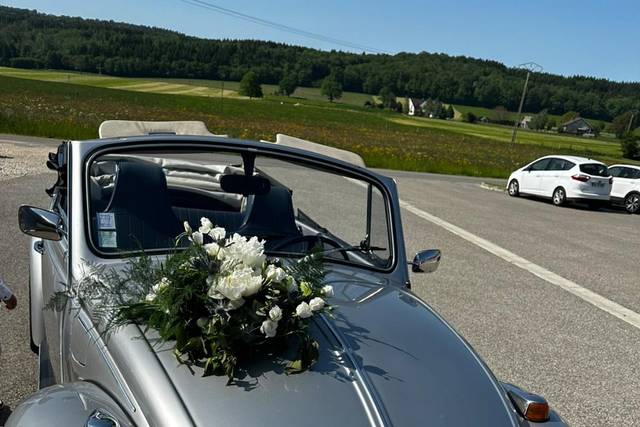 Cox Cabriolet 1