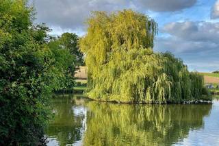 Coeur de Combray - 9