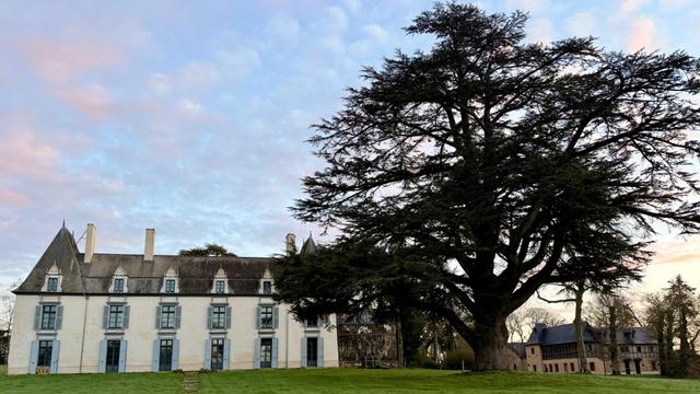 Domaine des Hayes - 4
