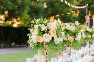 Mitsy Events - 13