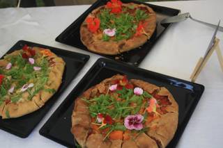 Libelula Vegan - 6
