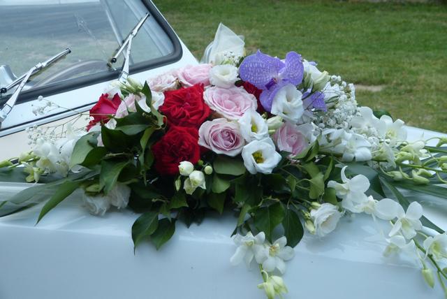Florania - 3