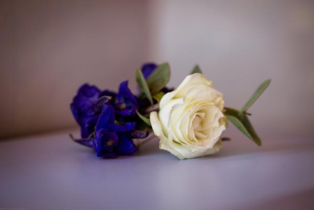 Les Fleurs d'Élyse Events - 4