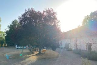 Domaine du Riadoux - 5