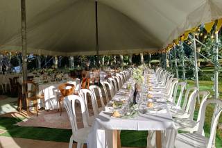 Domaine Pech Laurier - 7