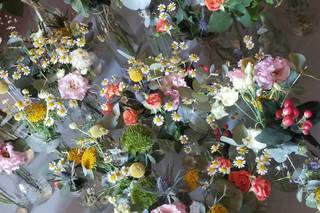 Jolie Rose - 12