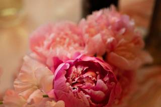 Fleurs de loup - 5