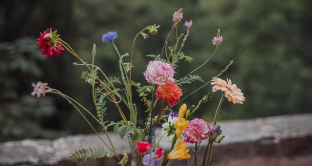 Fleurs Raison - 2