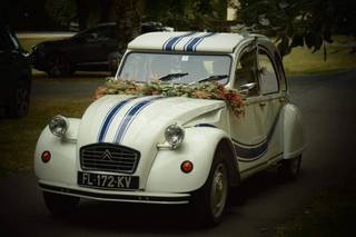 Erondes Fleuriste - 25