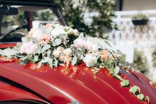 Rivbird Locations - 16