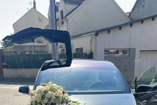 Chauffeur Tesla - 1