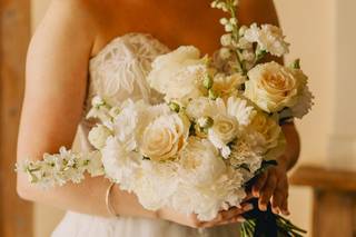 Tweedia Fleuriste - 5