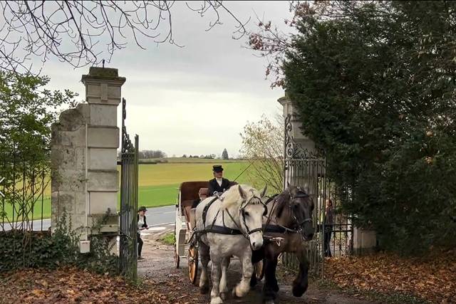 Les Calèches de la Rive 1