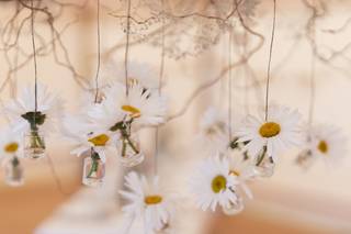 Kelly Sardier - 11