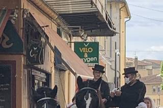 Provence-Caleche-Tradition - 8