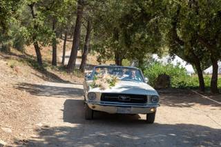 Mariages en Mustang - 5