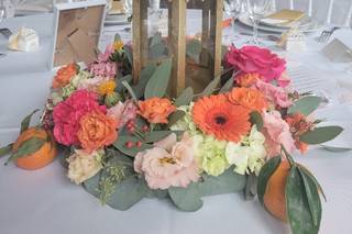 Le bois des roses - 8