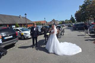 Mariage en Calèche - Nonette-Cuirs - 5