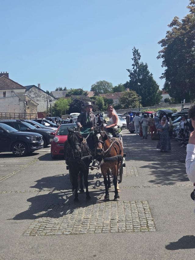 Mariage en Calèche - Nonette-Cuirs - 1