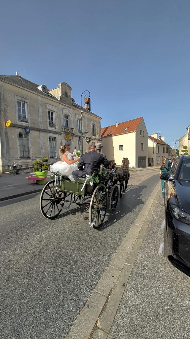 Mariage en Calèche - Nonette-Cuirs - 3