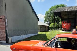 Mustang Wedding - 13