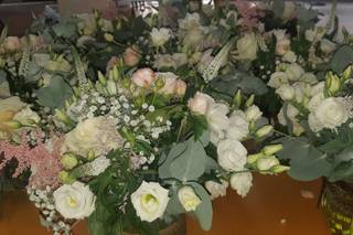Pivoine - 13