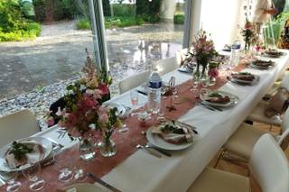 Coton et Coquelicot - 23