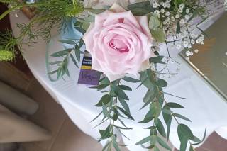 Le Jasmin - 17