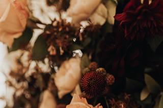 Menthe Sauvage - 12