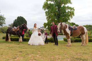 Touraine Cheval - 5