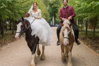 Touraine Cheval - 6