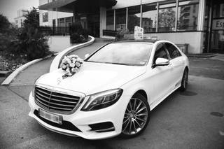 VB Prestige - 6