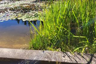 Le Mas d'Entremont - 7