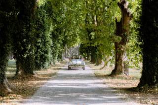 Wedding Car - 7