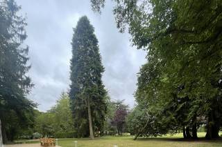 Manoir de Camblain - 9