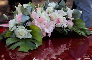Mitsy Events - 14
