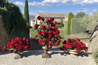 Dentelle de Fleurs - 9