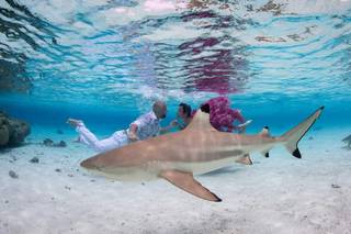 Stephan & Bonnie - Bora Bora Phototographer - 16
