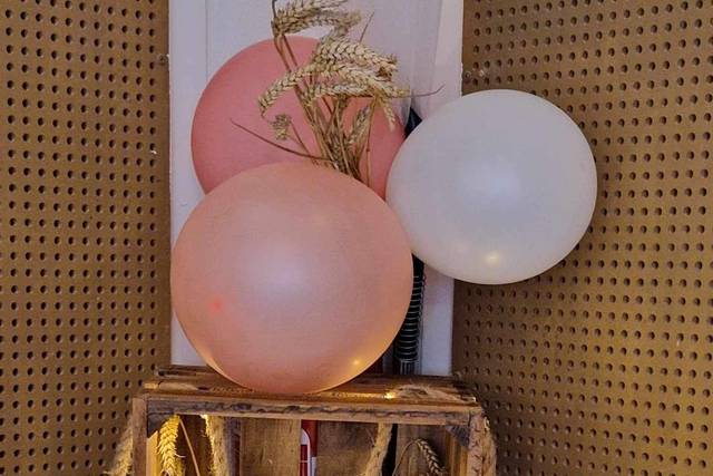 Decorinna 1