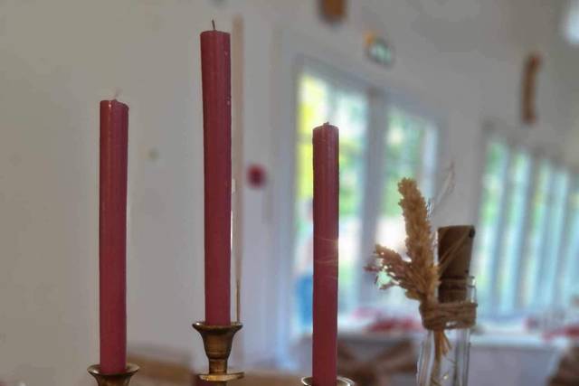 Decorinna 3