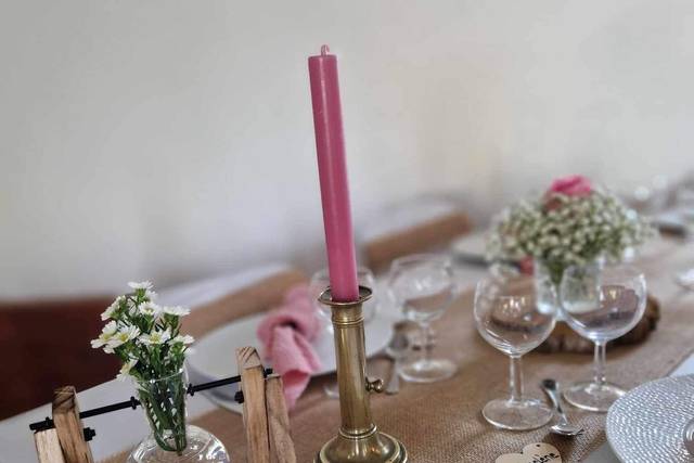 Decorinna 4