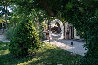 L'Oasis du Saule - 6