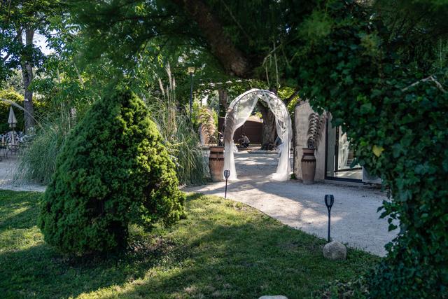 L'Oasis du Saule - 1