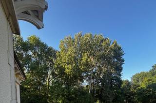 Domaine de Dombasle - 10
