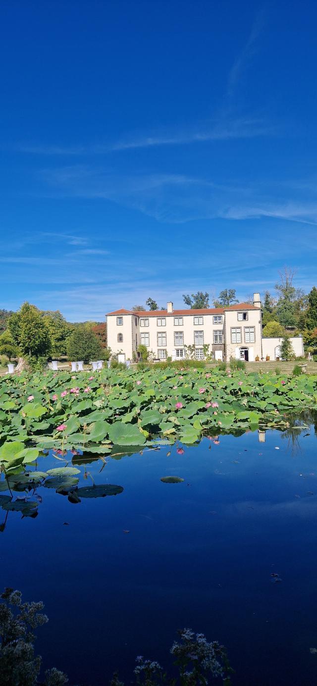 Château de Féligonde - 2