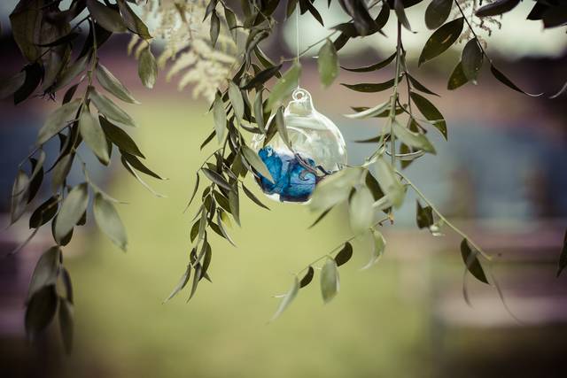 Justine Fleurs 5