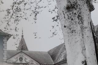 Monika Glet - Photographiste - 23
