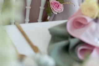 Nicolasisto Photography - 14