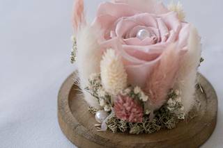 Nicolasisto Photography - 15