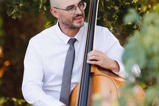 Opus Swing - 6